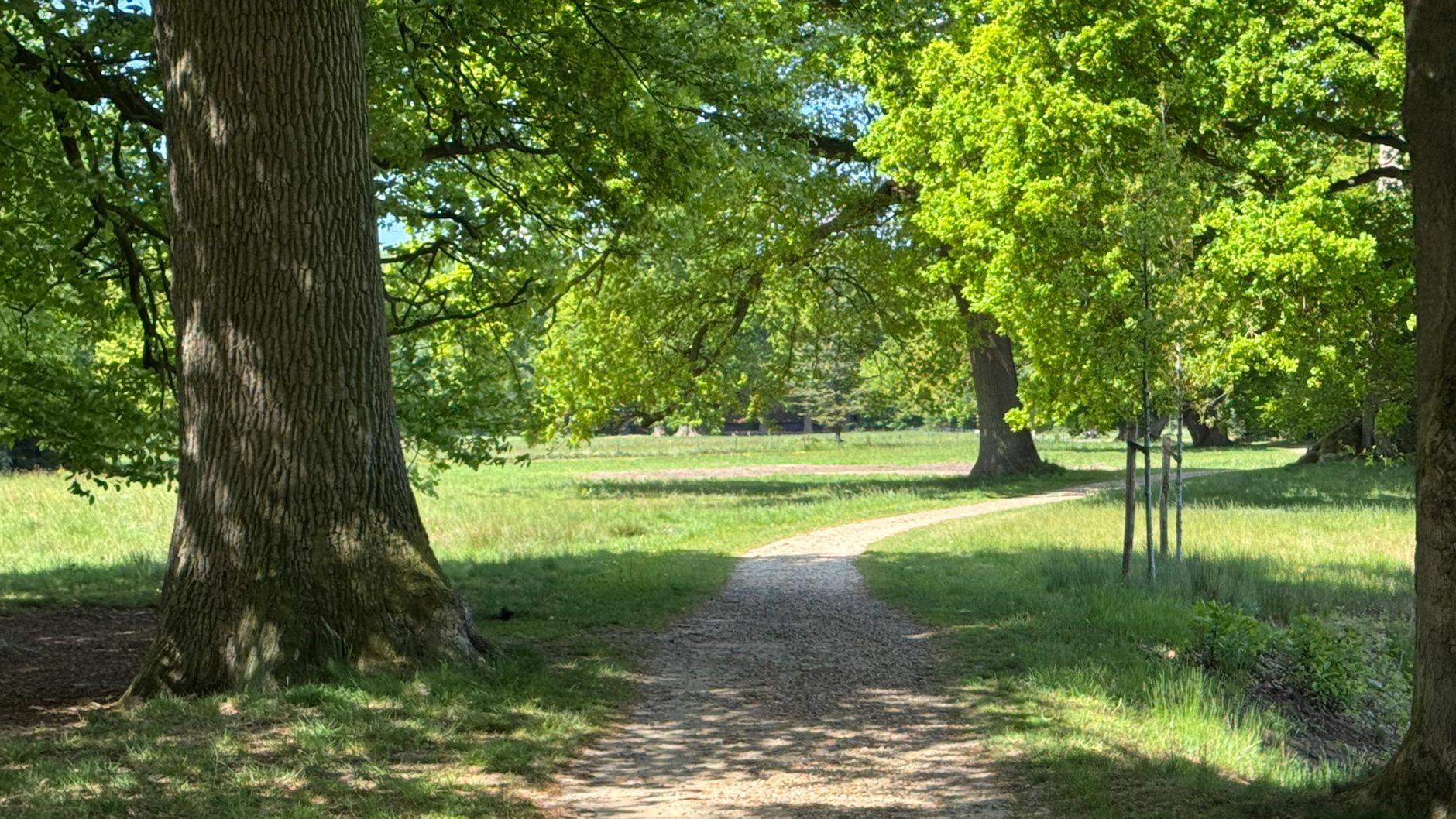 Lutte contre les nuisibles à Asnières-sur-Seine